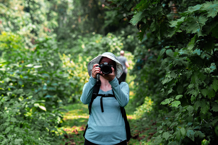 trek-gorillas-four (1)